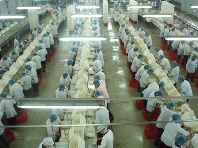 食品制造技術演進 從基礎處理到智能制造的三個階段